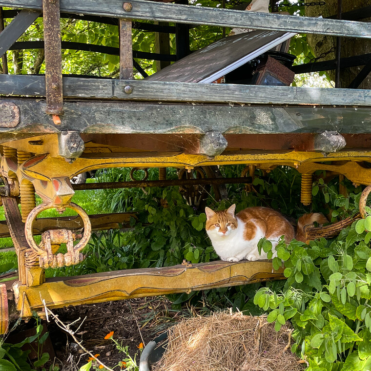 UK May '22 - Deference (Nick Drake) 018.jpg